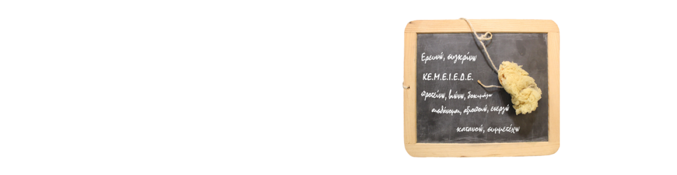 1350x350_fill_slide-6