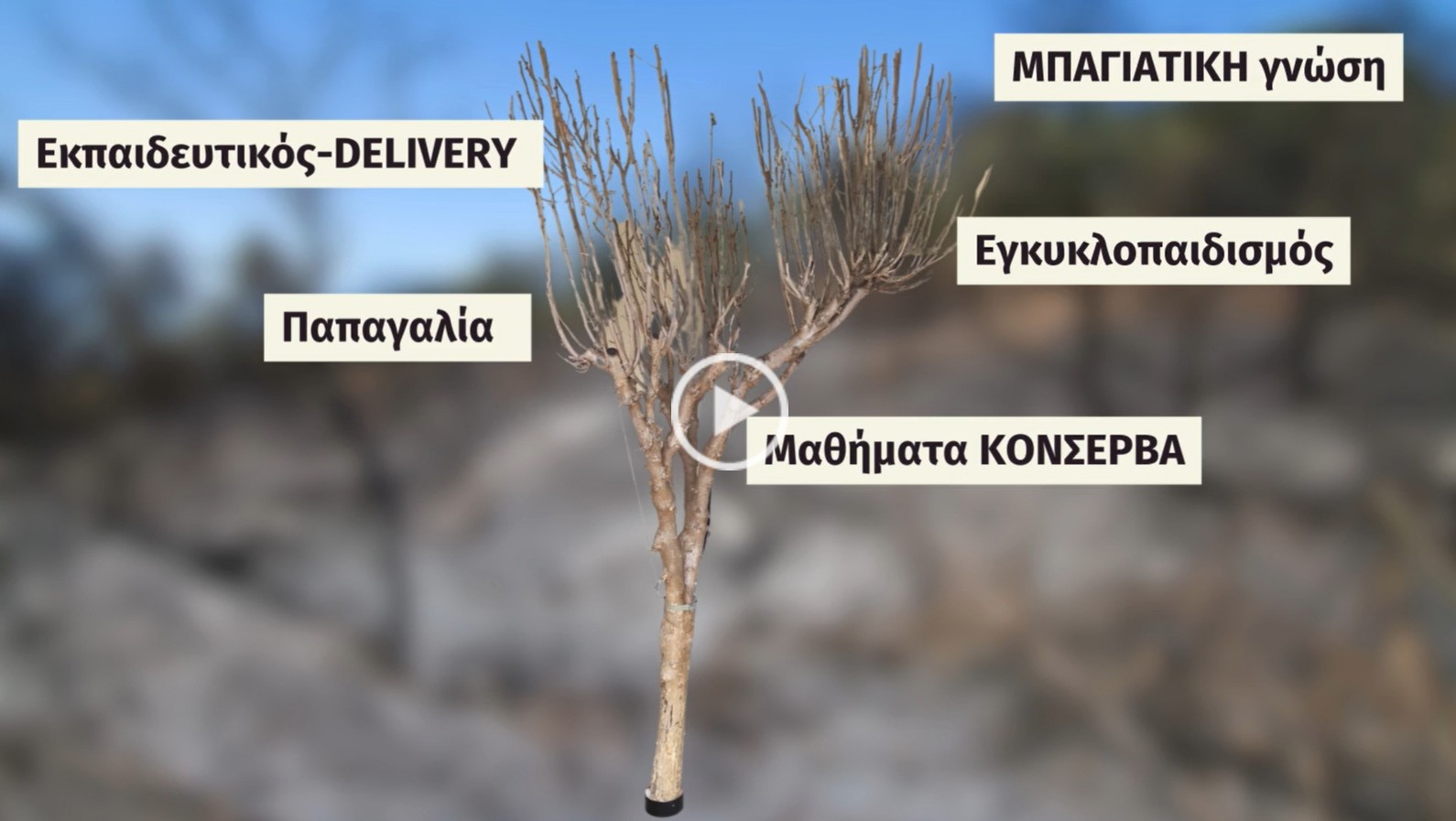 Ανα-ζωογόνηση + Επαν-οικοδόμηση της σχολικής μάθησης